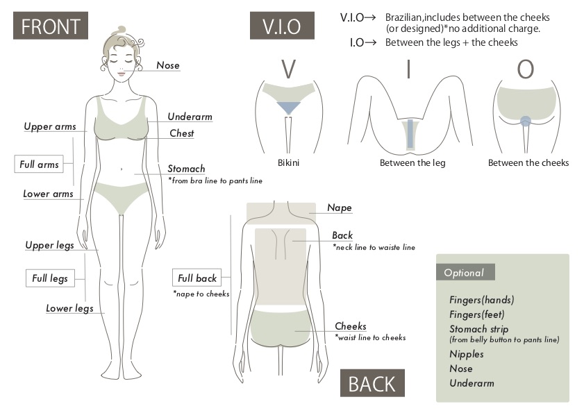 Body parts and vio illust